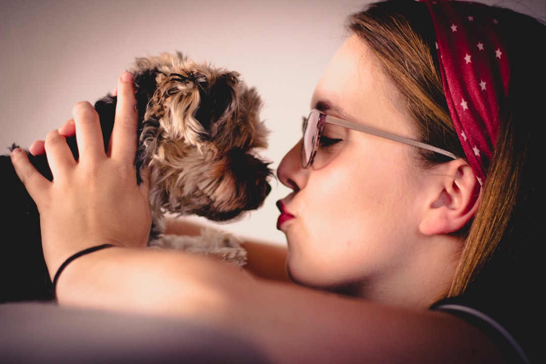 Photo dog, red fur